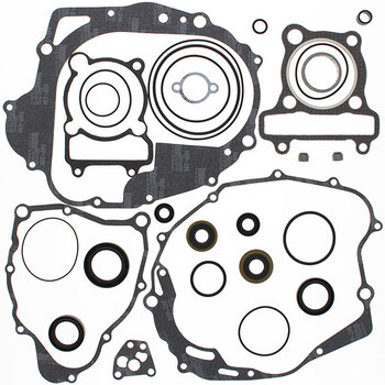 VERTEX GASKET SET & OIL SEALS (811802)