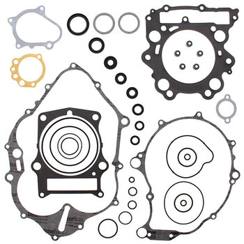 VERTEX GASKET SET & OIL SEALS (811875)