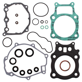 VERTEX GASKET SET & OIL SEALS (811829)