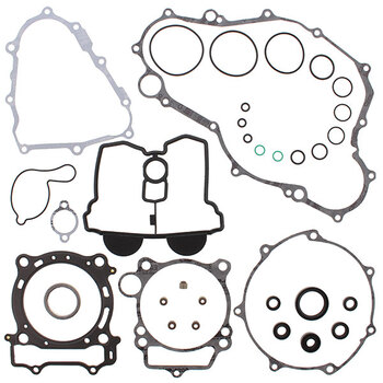 VERTEX GASKET SET & OIL SEALS (811875)