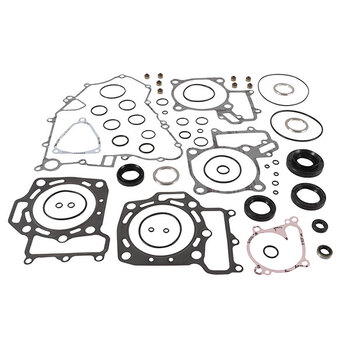 VERTEX GASKET SET & OIL SEALS (811829)