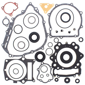 VERTEX GASKET SET & OIL SEALS (811875)