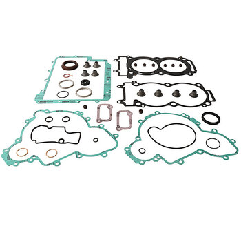 VERTEX GASKET SET & OIL SEALS (811875)