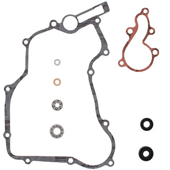 VERTEX WATER PUMP REBUILD KIT (821641)