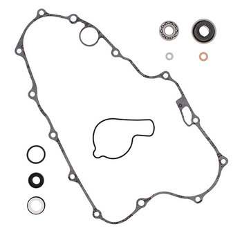 VERTEX WATER PUMP REBUILD KIT (821641)