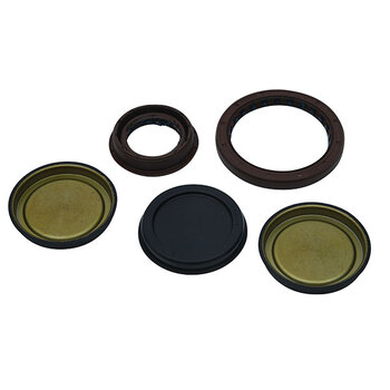 VERTEX ENGINE OIL SEAL KIT (02 1000)