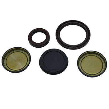 VERTEX ENGINE OIL SEAL KIT (822276)