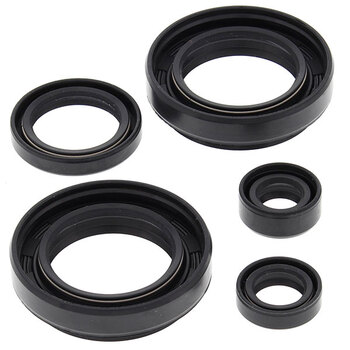 VERTEX ENGINE OIL SEAL KIT (822402)