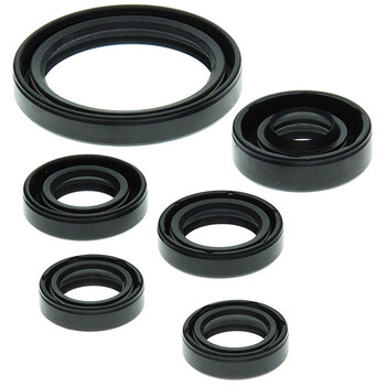 VERTEX ENGINE OIL SEAL KIT (822276)