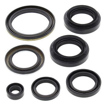 VERTEX ENGINE OIL SEAL KIT (822276)