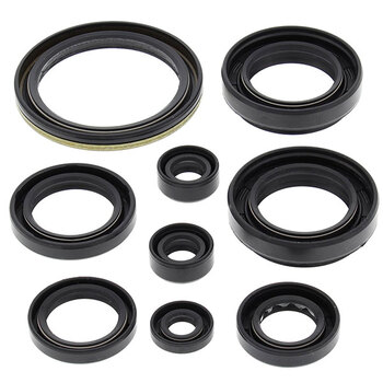 VERTEX ENGINE OIL SEAL KIT (822276)