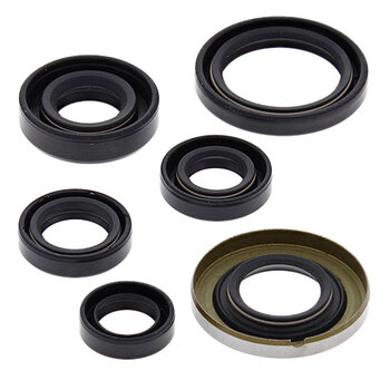 VERTEX ENGINE OIL SEAL KIT (822276)