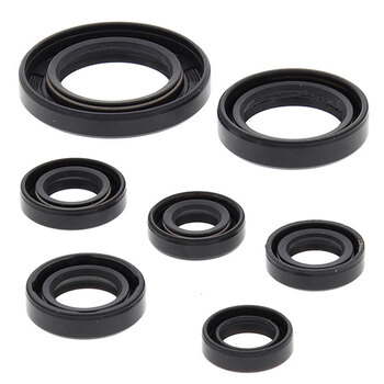 VERTEX ENGINE OIL SEAL KIT (822276)