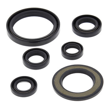 VERTEX ENGINE OIL SEAL KIT (822276)