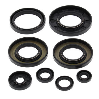 VERTEX ENGINE OIL SEAL KIT (02 1000)