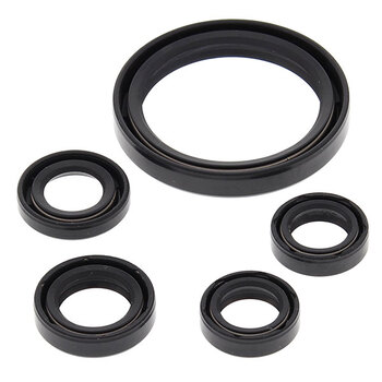 VERTEX ENGINE OIL SEAL KIT (822276)