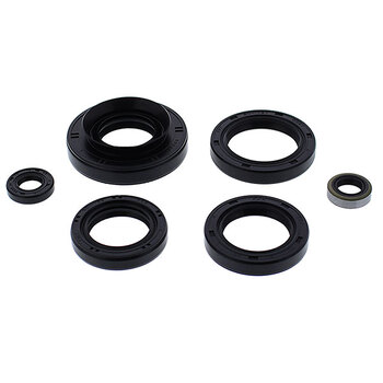 VERTEX ENGINE OIL SEAL KIT (822276)