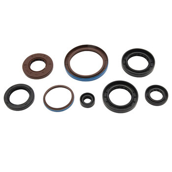 VERTEX ENGINE OIL SEAL KIT (02 1000)