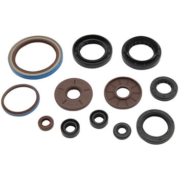 VERTEX ENGINE OIL SEAL KIT (822276)