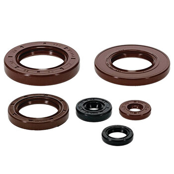 VERTEX ENGINE OIL SEAL KIT (822276)