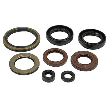 VERTEX ENGINE OIL SEAL KIT (02 1000)