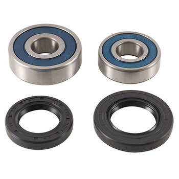 ALL BALLS WHEEL BEARING KIT (25 1021)