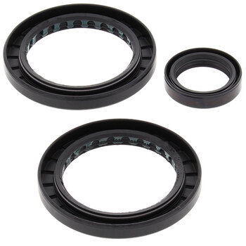 ALL BALLS DIFFERENTIAL BEARING & SEAL KIT (25 2056)