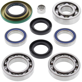 ALL BALLS DIFFERENTIAL BEARING & SEAL KIT (25 2010)