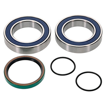 ALL BALLS CHAIN CASE BEARING & SEAL KIT (14 1026)