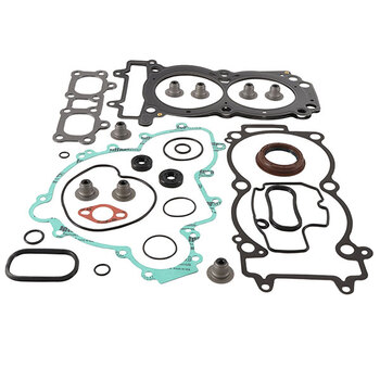 VERTEX GASKET SET & OIL SEALS (811970)