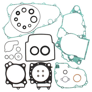 VERTEX GASKET SET & OIL SEALS (811468)