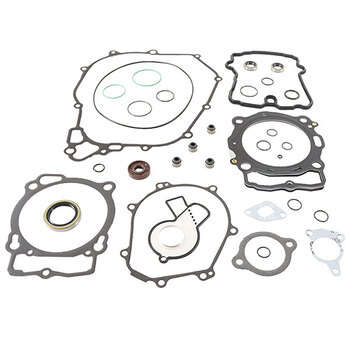 VERTEX GASKET SET & OIL SEALS (811468)