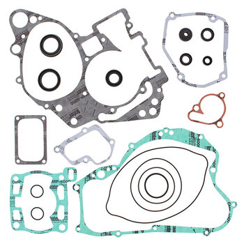 VERTEX GASKET SET & OIL SEALS (811468)