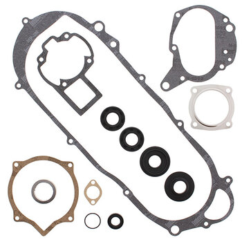 VERTEX GASKET SET & OIL SEALS (811970)