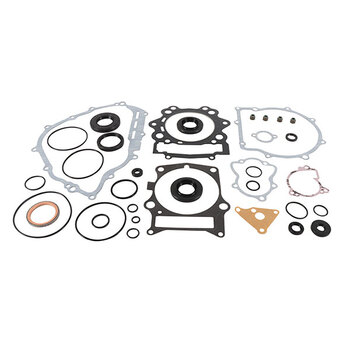 VERTEX GASKET SET & OIL SEALS (811875)