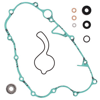 VERTEX WATER PUMP REBUILD KIT (821284)