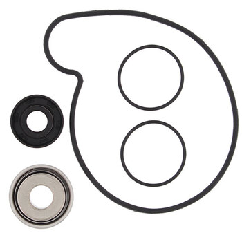 VERTEX WATER PUMP REBUILD KIT (821220)