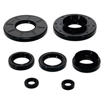 VERTEX ENGINE OIL SEAL KIT (02 1000)