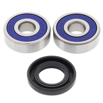 ALL BALLS WHEEL BEARING KIT (25 1021)