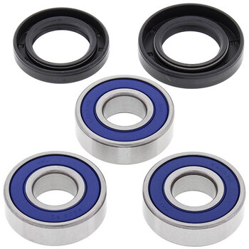 ALL BALLS WHEEL BEARING KIT (25 1021)