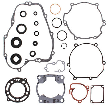 VERTEX GASKET SET & OIL SEALS (811468)