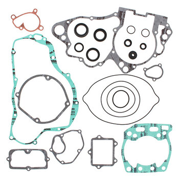 VERTEX GASKET SET & OIL SEALS (811468)