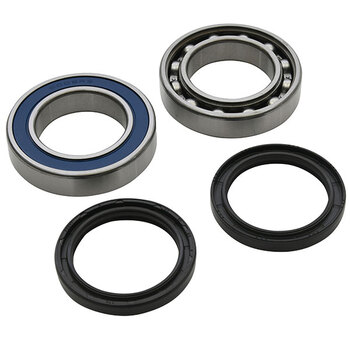 ALL BALLS CHAIN CASE BEARING & SEAL KIT (14 1026)