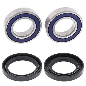 ALL BALLS WHEEL BEARING KIT (25 1060)