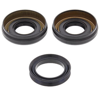 ALL BALLS DIFFERENTIAL BEARING & SEAL KIT (25 2060)