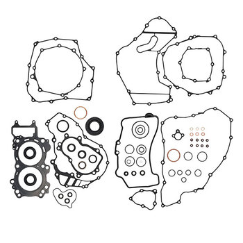 VERTEX GASKET SET & OIL SEALS (811875)