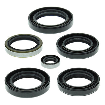 VERTEX ENGINE OIL SEAL KIT (02 1000)