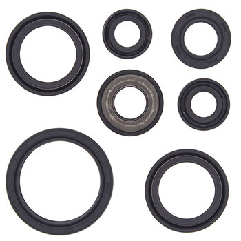 VERTEX ENGINE OIL SEAL KIT (02 1000)