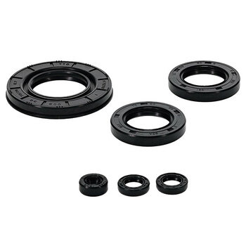 VERTEX ENGINE OIL SEAL KIT (822254)