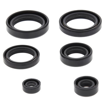 VERTEX ENGINE OIL SEAL KIT (02 1000)